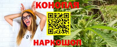 прущие грибы Уссурийск