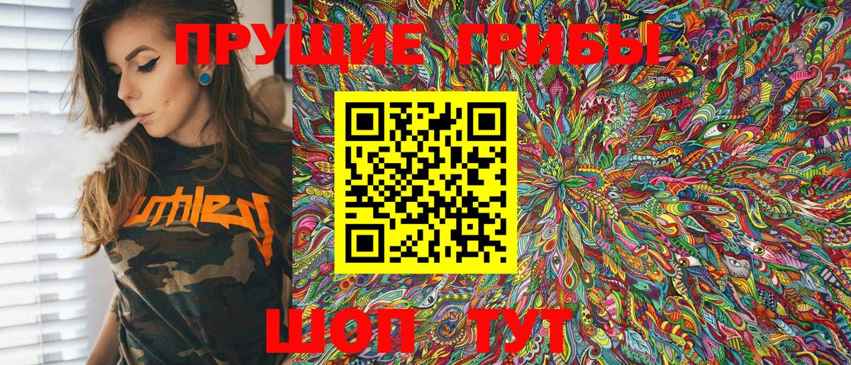 Богданович  Галлюциногенные грибы Cubensis  Вход с VPN 